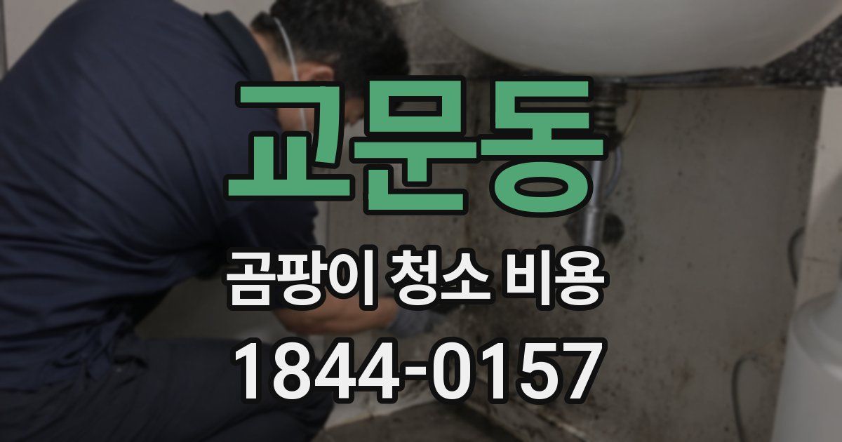 교문동 곰팡이 청소 비용
