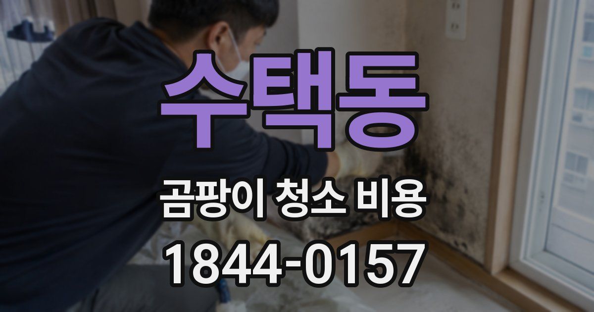 수택동 곰팡이 청소 비용