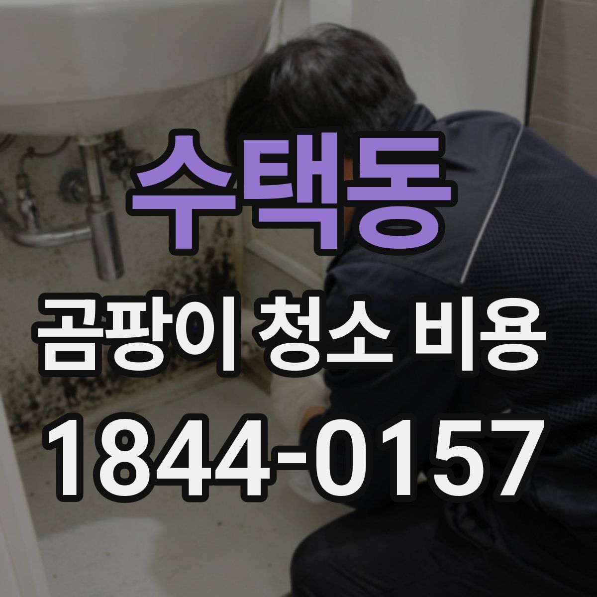 수택동 곰팡이 청소 비용