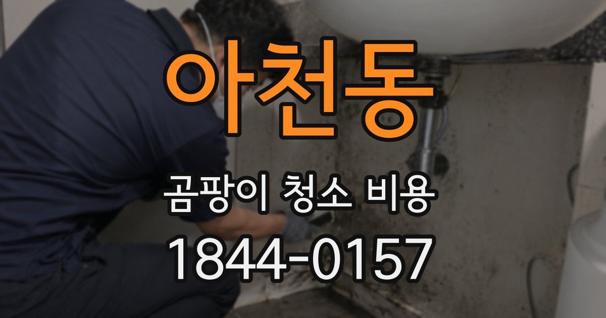 아천동 곰팡이 청소 비용