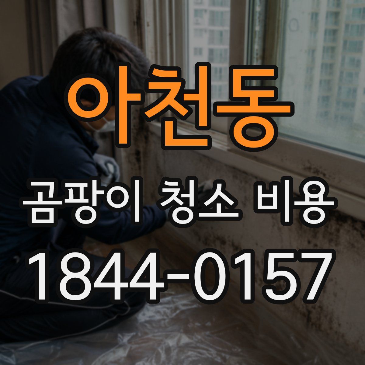 아천동 곰팡이 청소 비용
