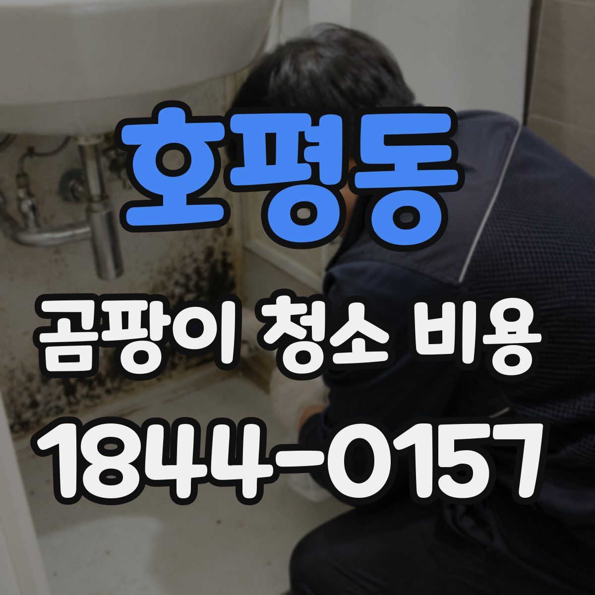 호평동 곰팡이 청소 비용