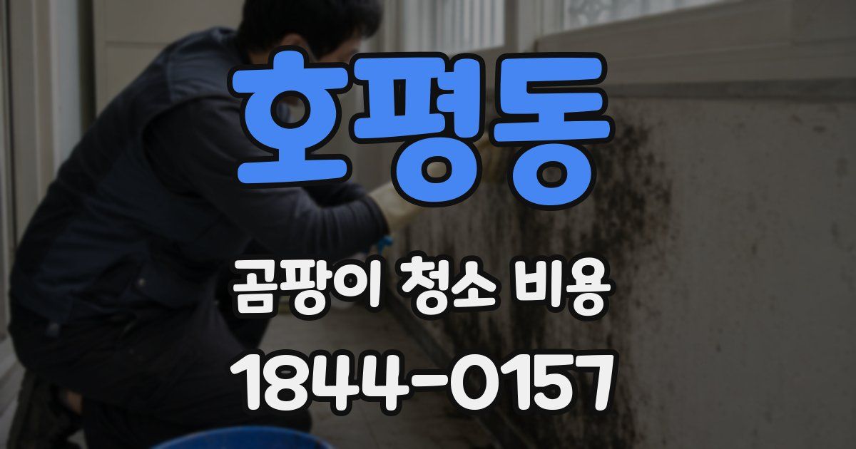호평동 곰팡이 청소 비용