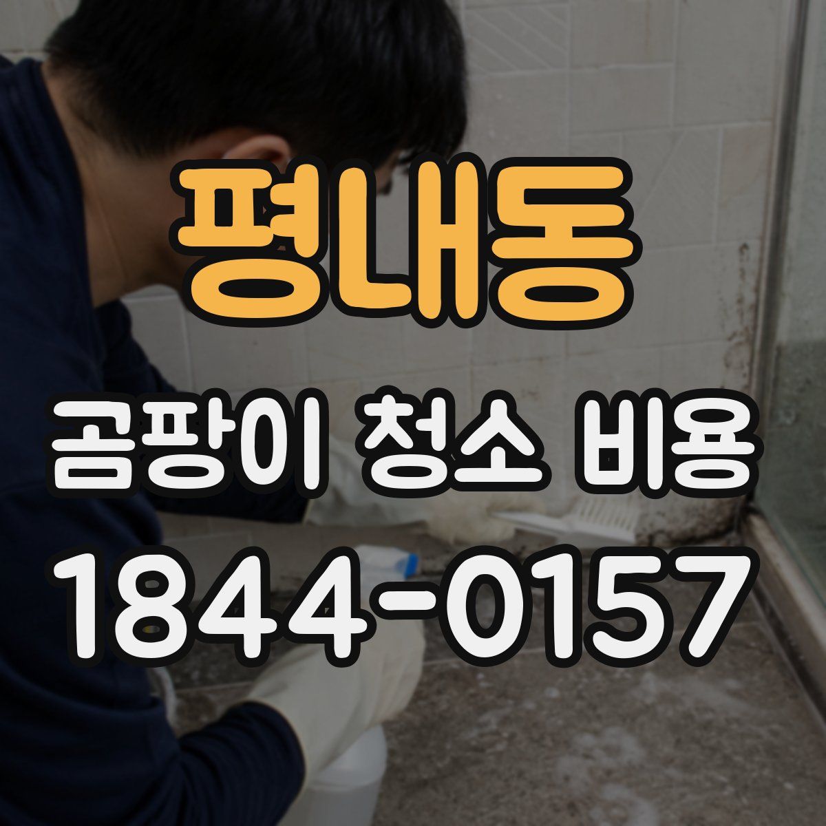 평내동 곰팡이 청소 비용