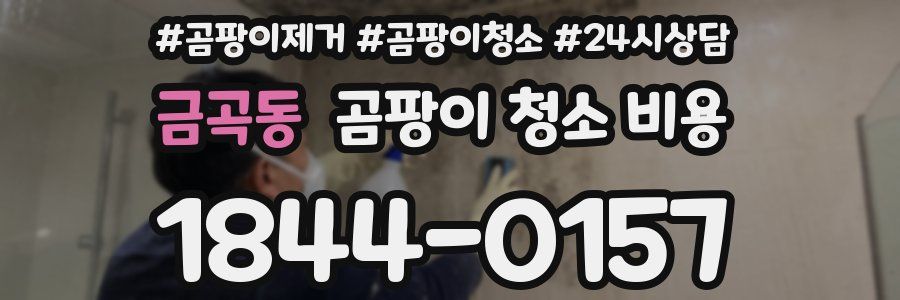금곡동 곰팡이 청소 비용