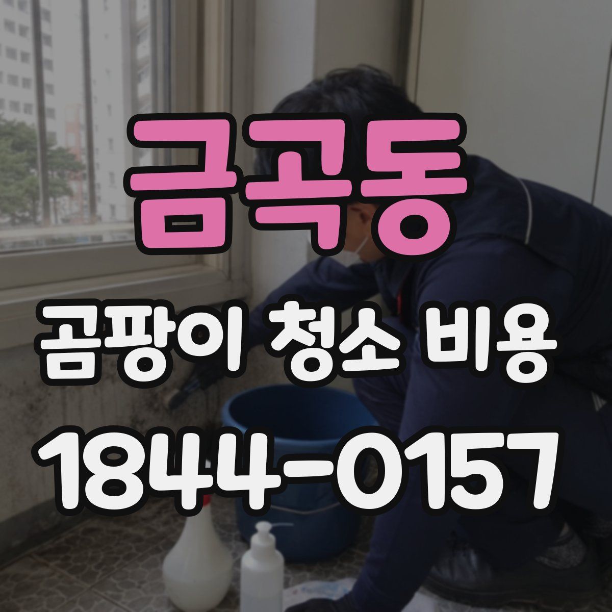 금곡동 곰팡이 청소 비용