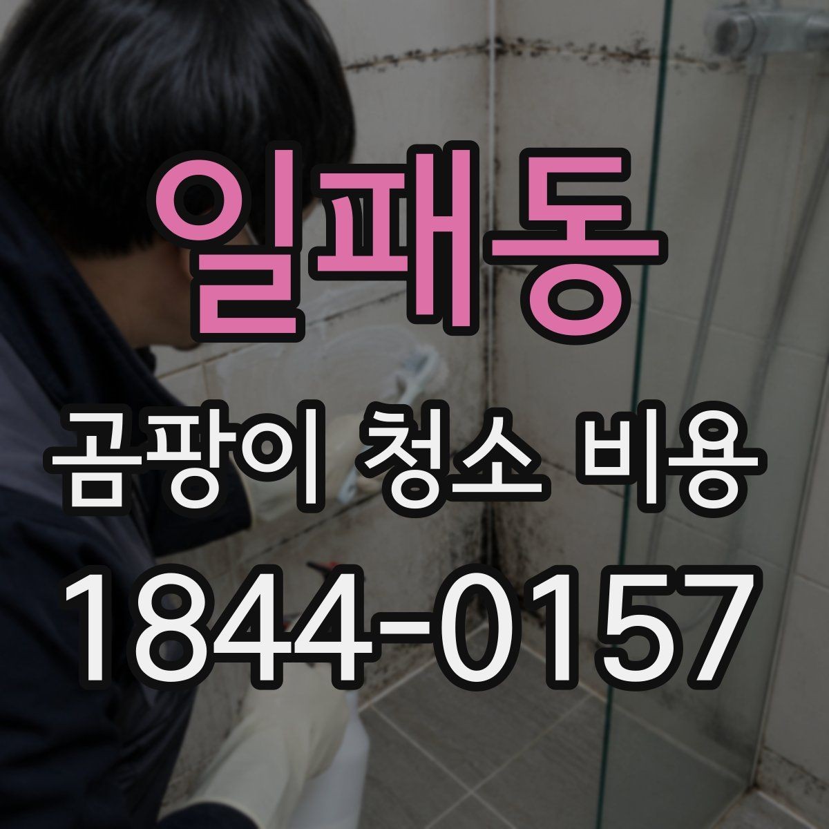 일패동 곰팡이 청소 비용 결로와 누수 원인 구분이 중요한 까닭