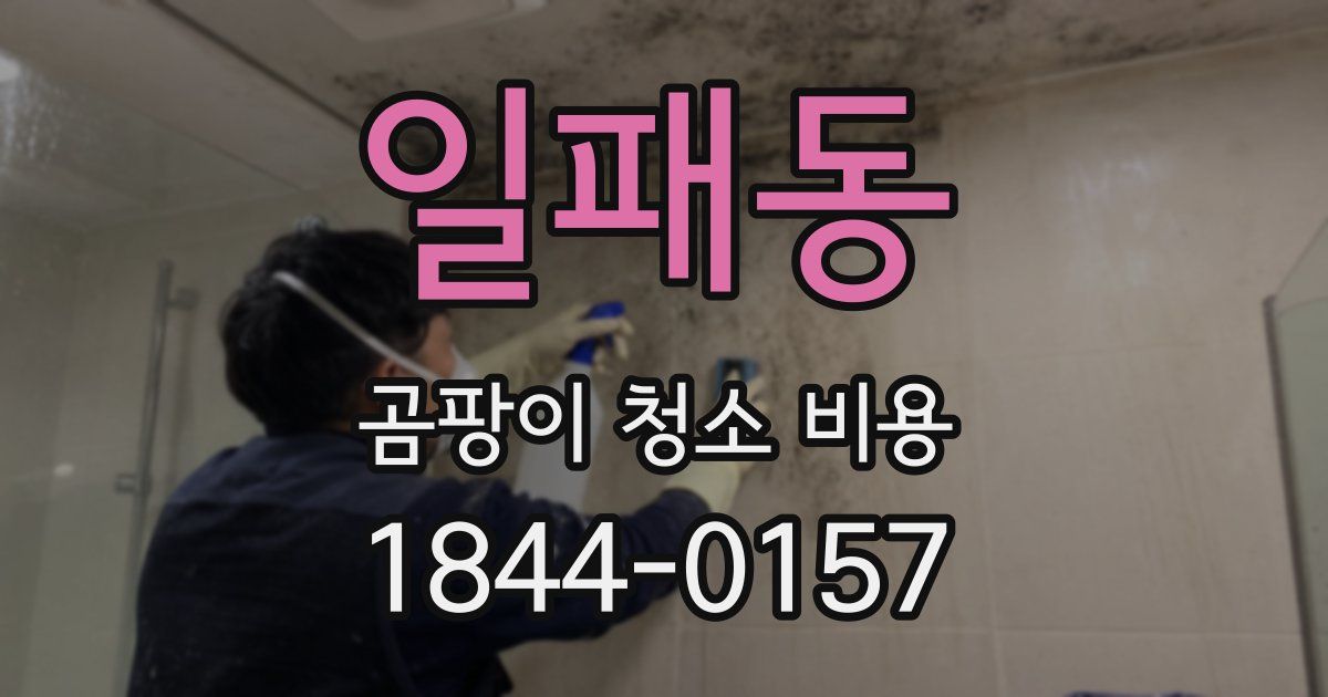 일패동 곰팡이 청소 비용