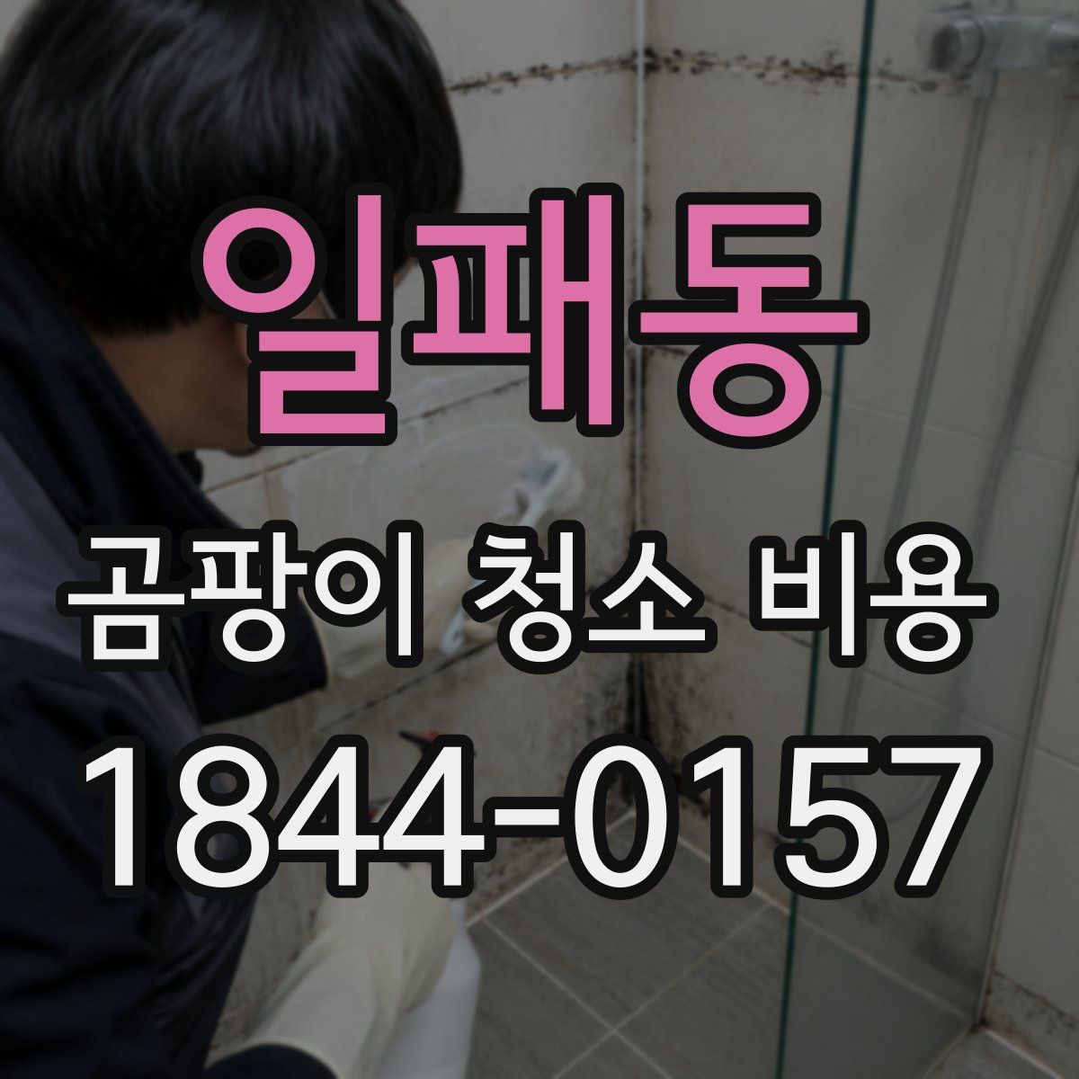 일패동 곰팡이 청소 비용