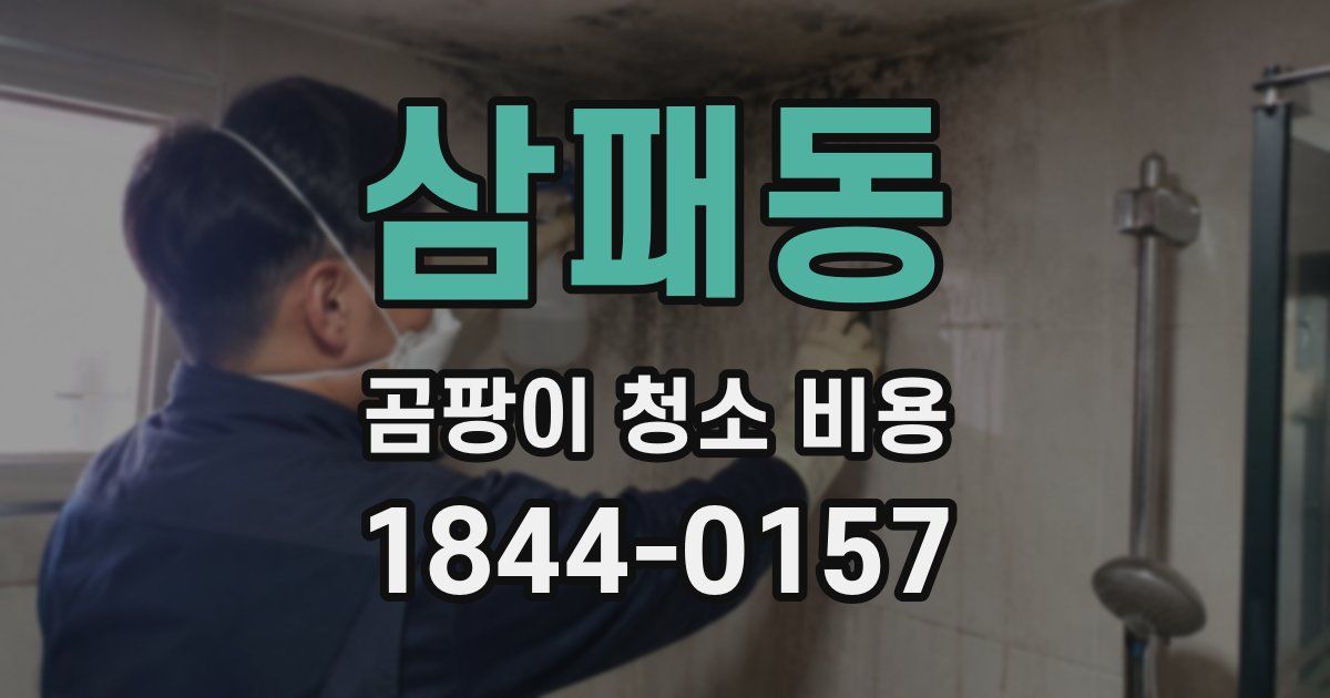 삼패동 곰팡이 청소 비용