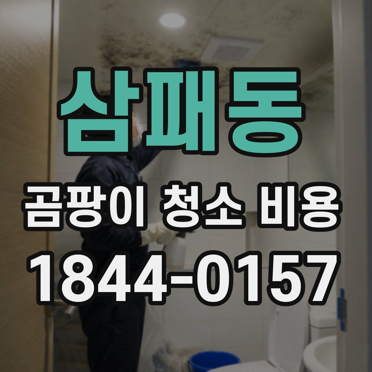 삼패동 곰팡이 청소 비용