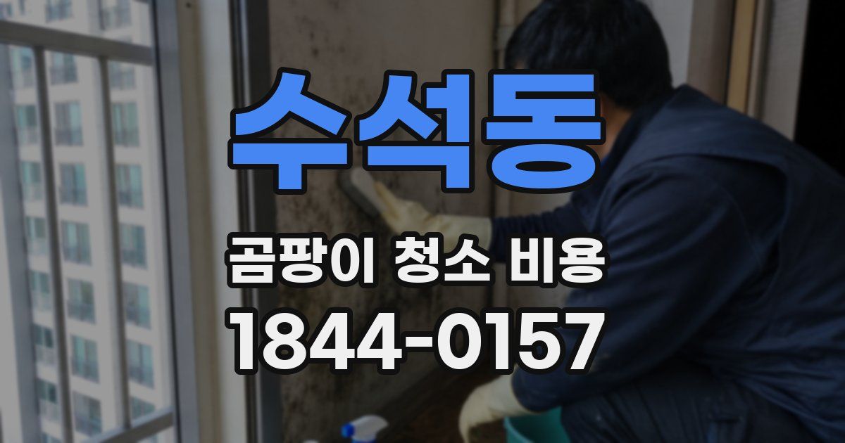 수석동 곰팡이 청소 비용