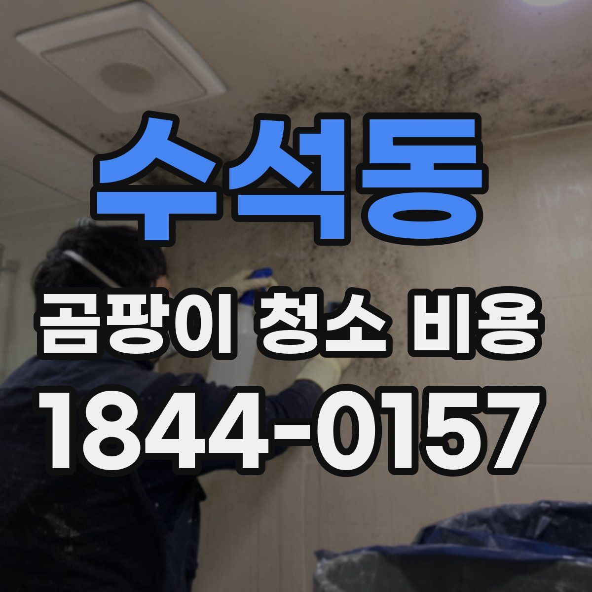 수석동 곰팡이 청소 비용