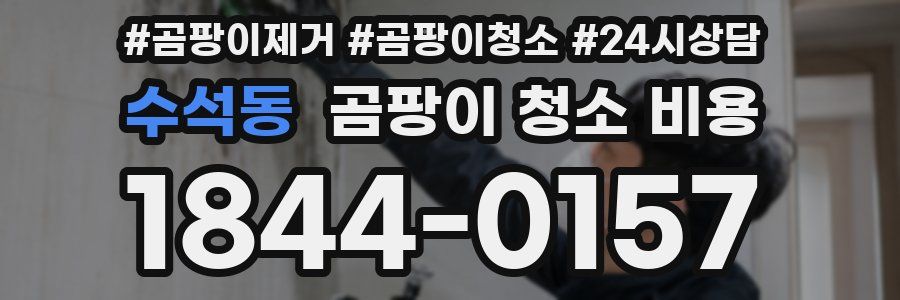 수석동 곰팡이 청소 비용