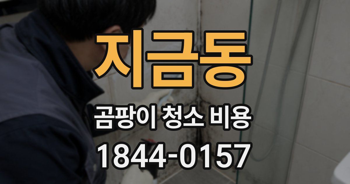 지금동 곰팡이 청소 비용
