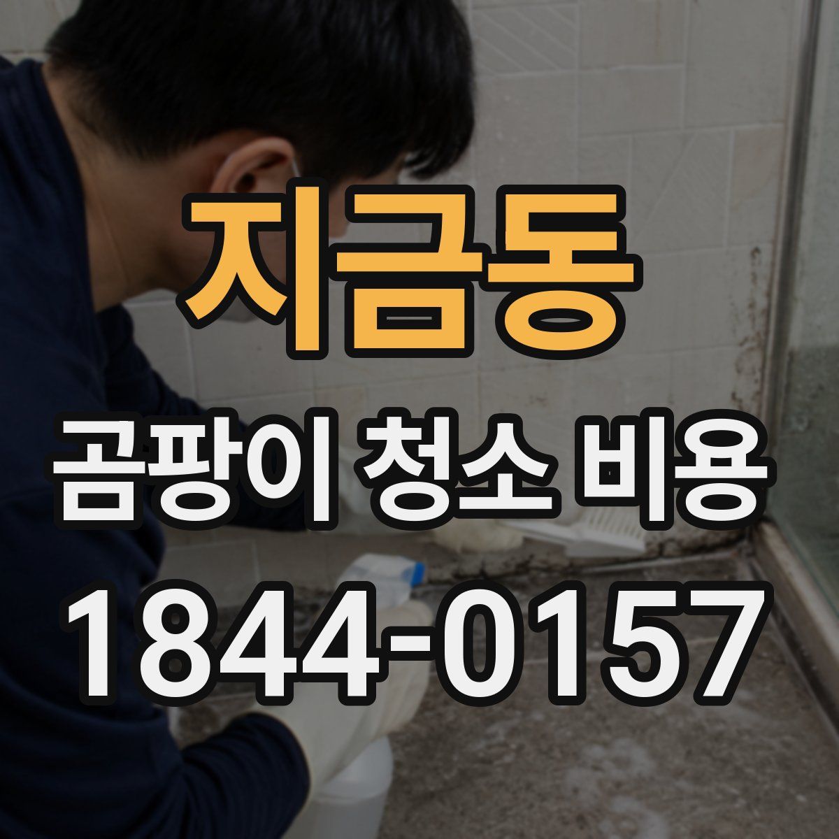 지금동 곰팡이 청소 비용