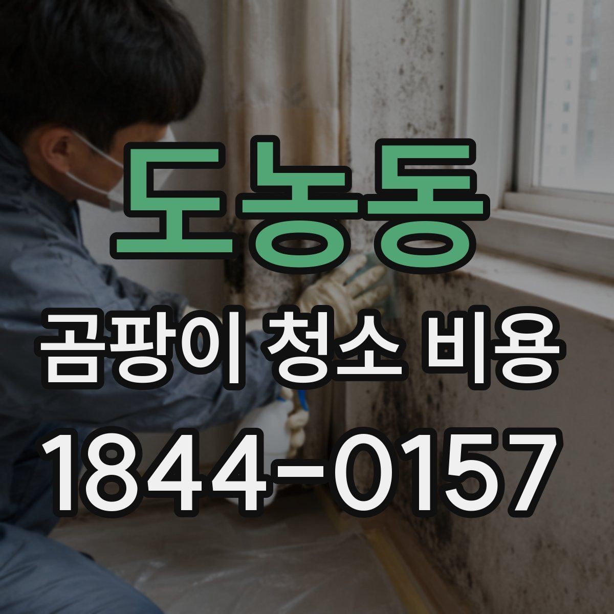 도농동 곰팡이 청소 비용 약품 처리 뒤 환기 관리까지 함께 챙기는 법