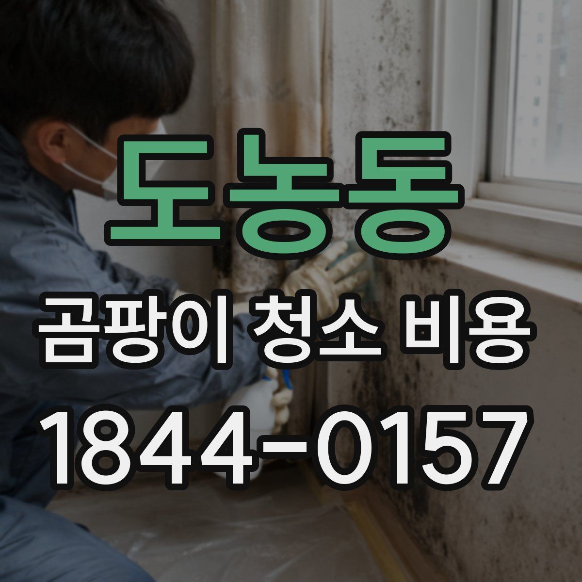 도농동 곰팡이 청소 비용