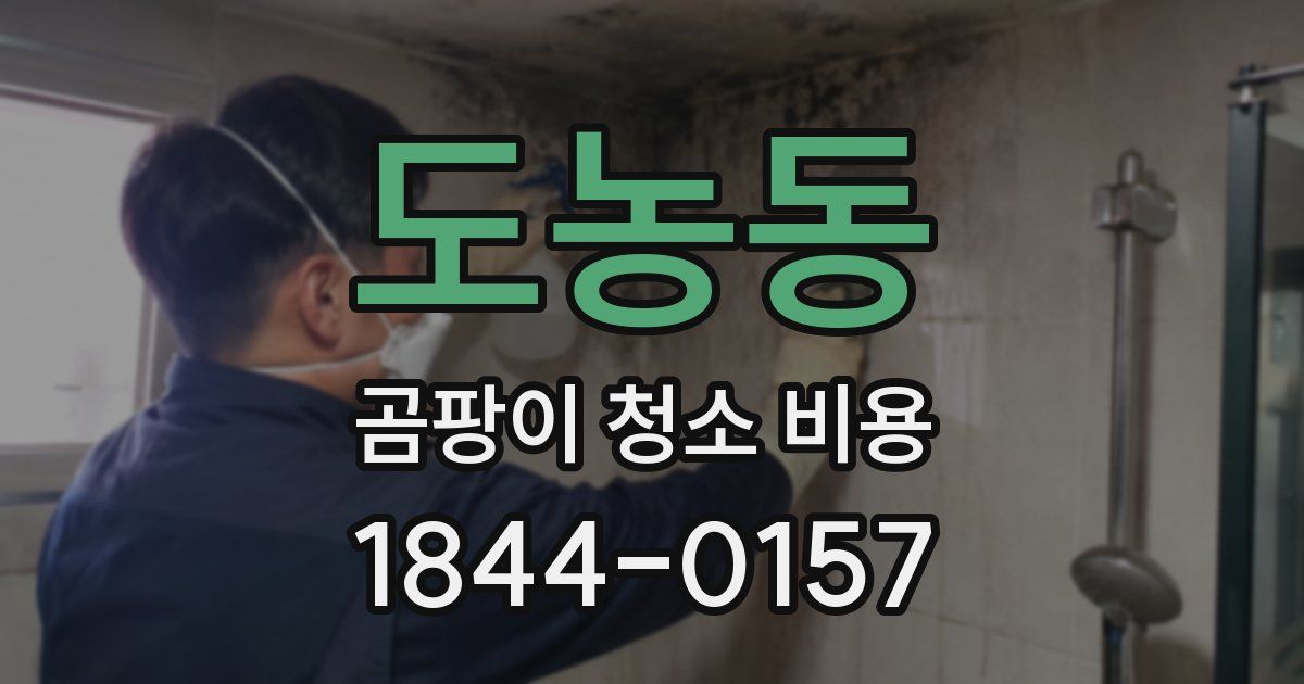 도농동 곰팡이 청소 비용