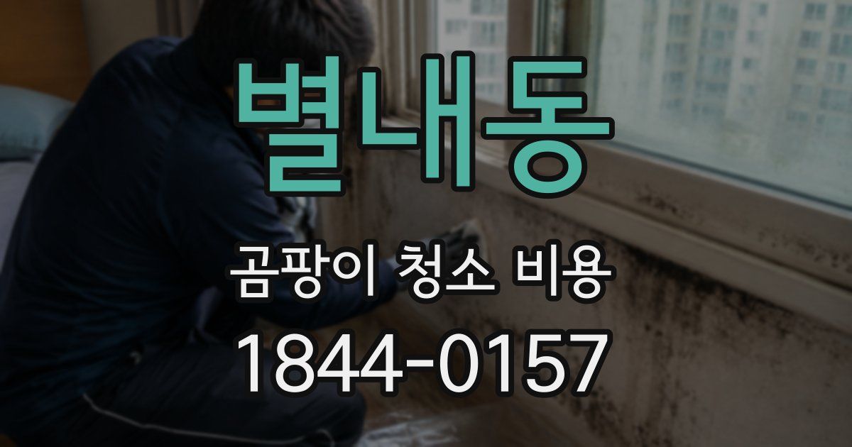 별내동 곰팡이 청소 비용