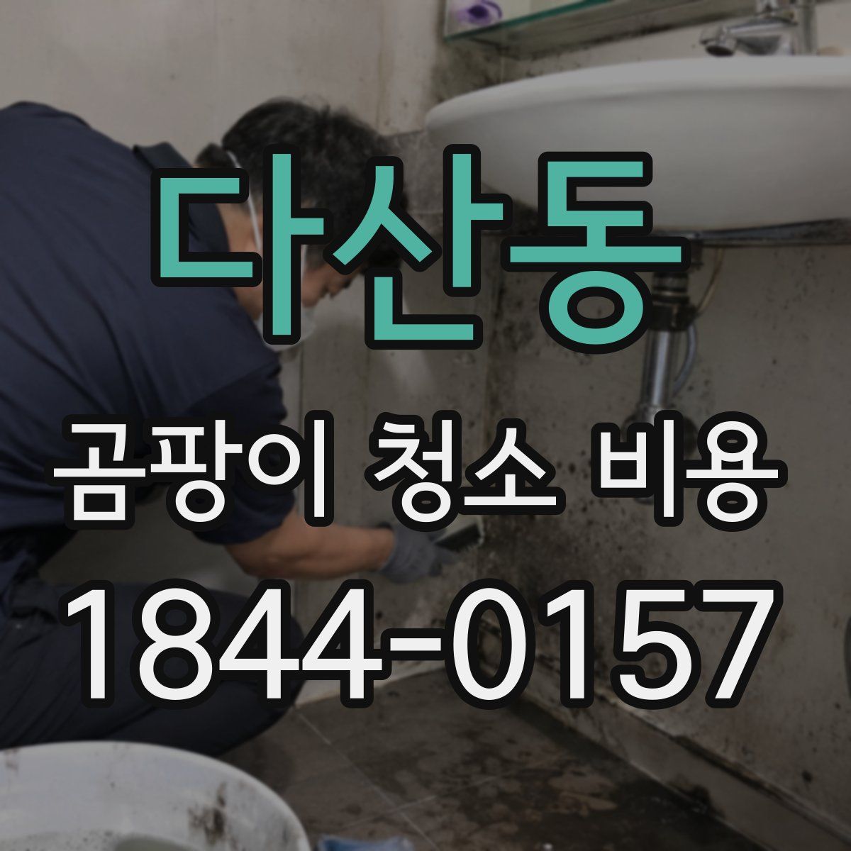 다산동 곰팡이 청소 비용