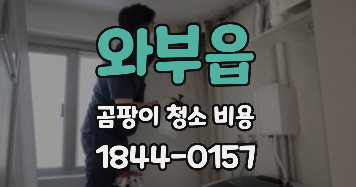 와부읍 곰팡이 청소 비용