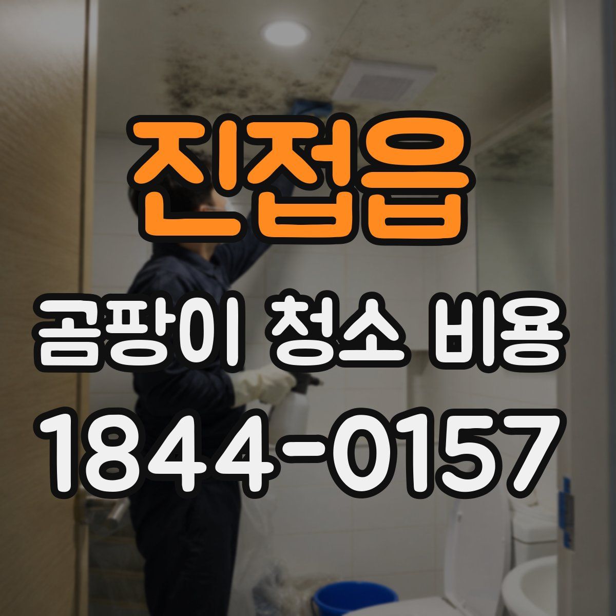 진접읍 곰팡이 청소 비용