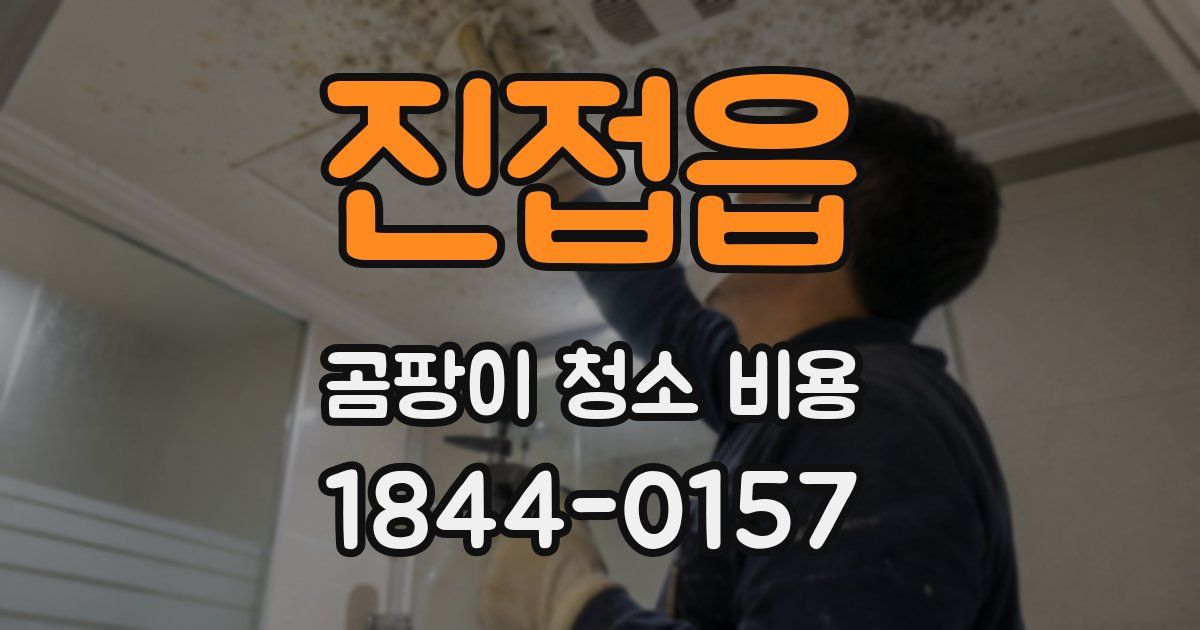 진접읍 곰팡이 청소 비용