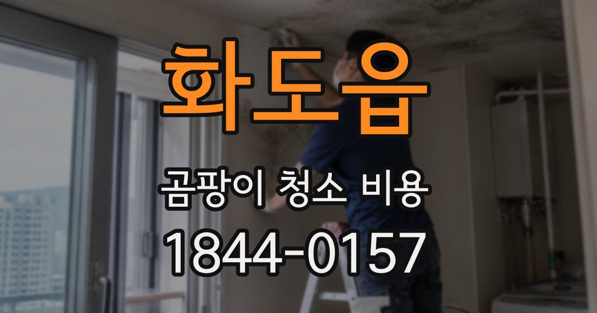 화도읍 곰팡이 청소 비용