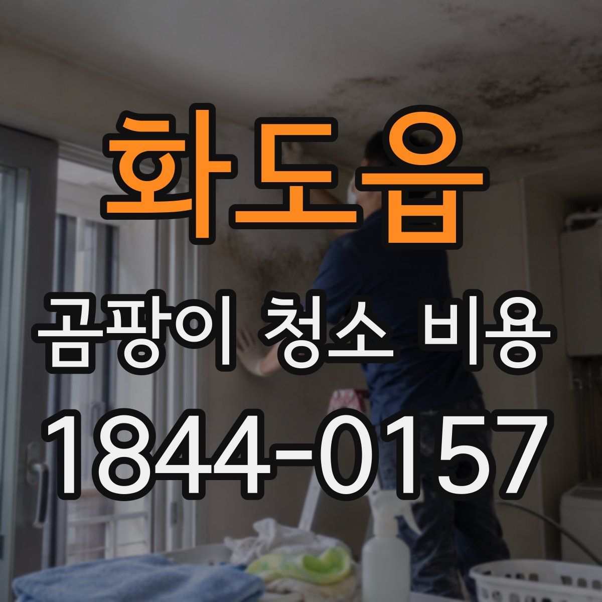화도읍 곰팡이 청소 비용