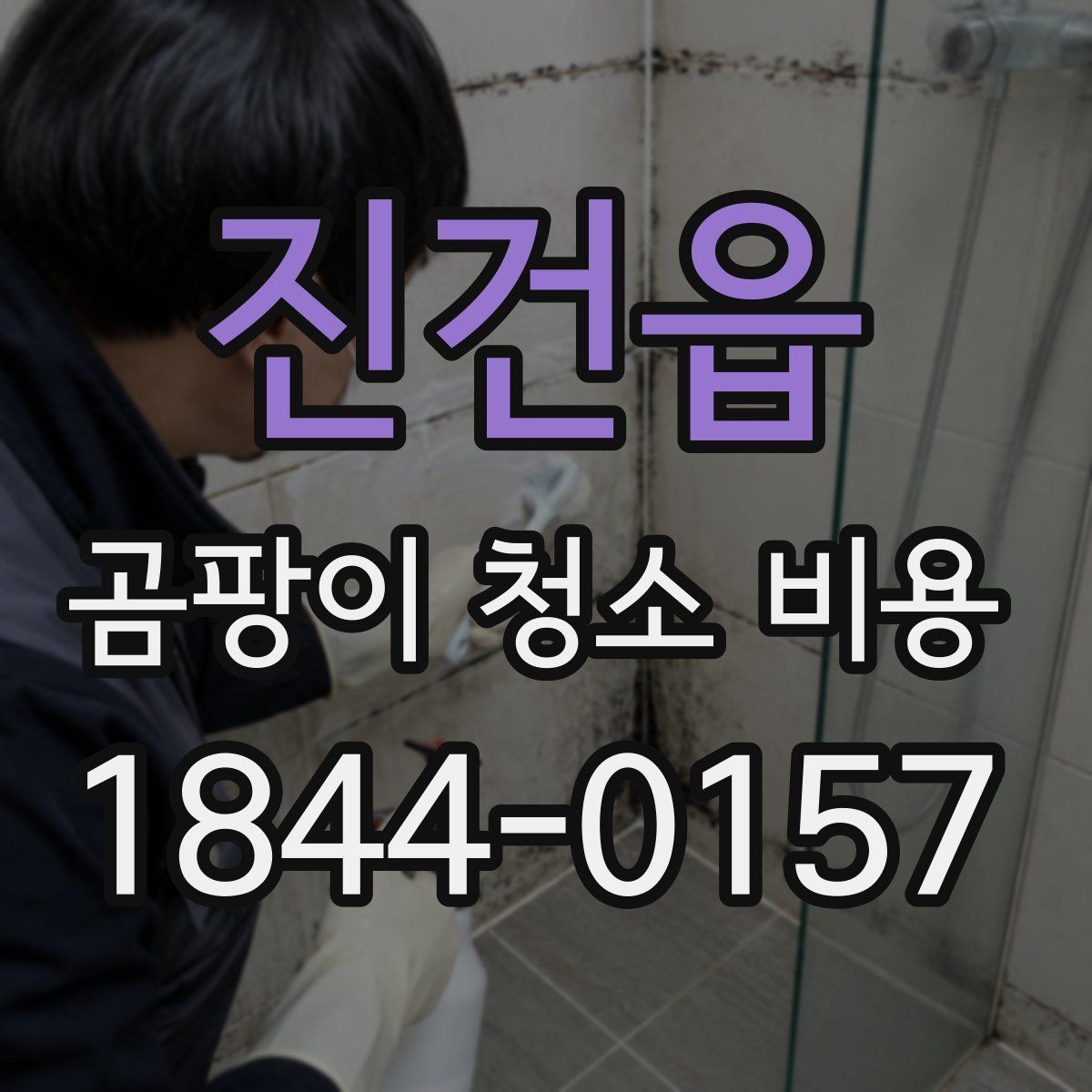 진건읍 곰팡이 청소 비용