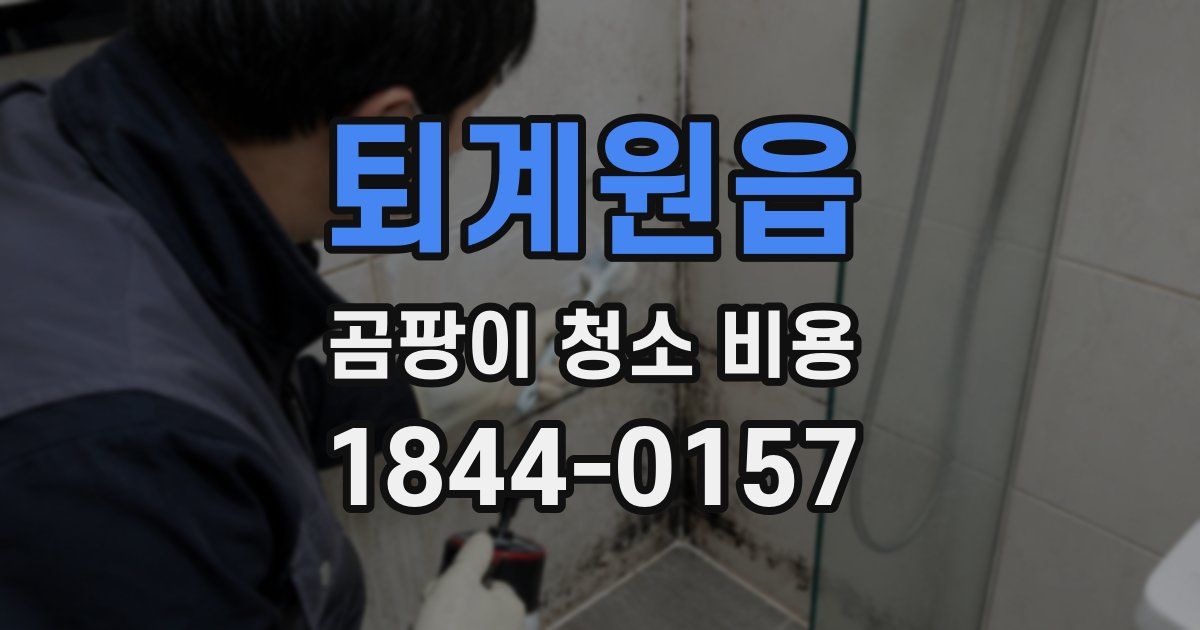퇴계원읍 곰팡이 청소 비용