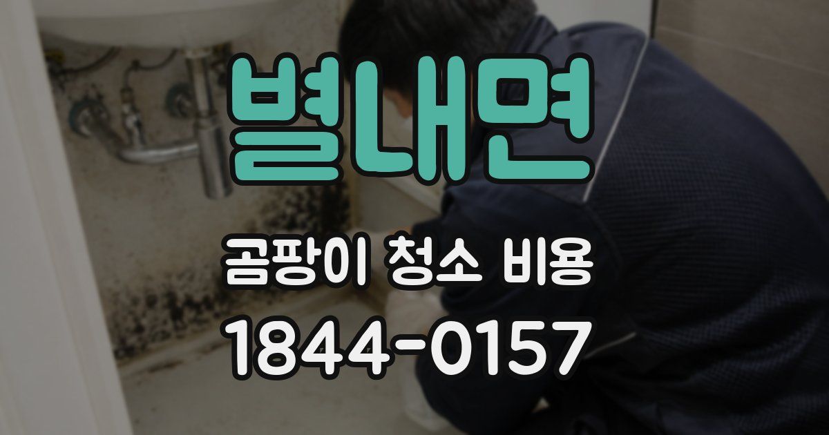 별내면 곰팡이 청소 비용