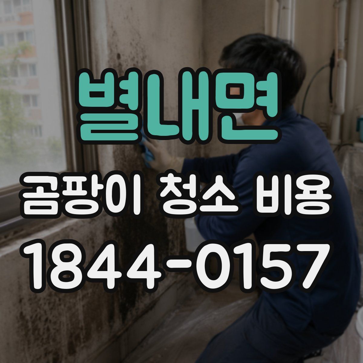 별내면 곰팡이 청소 비용