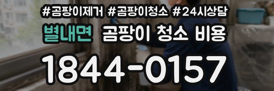 별내면 곰팡이 청소 비용