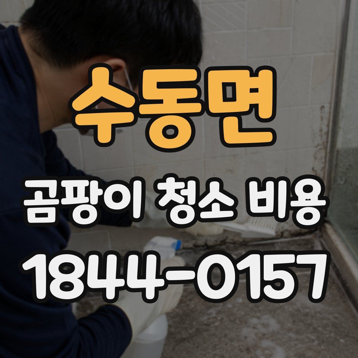 수동면 곰팡이 청소 비용 아이 방 곰팡이 제거 후 위생 관리 방법