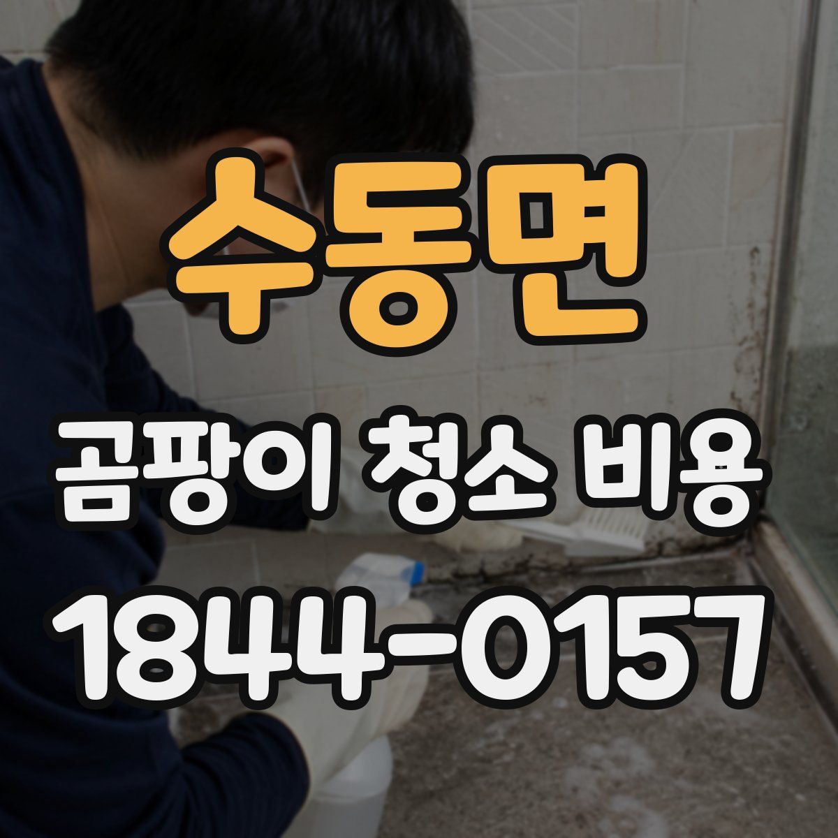 수동면 곰팡이 청소 비용
