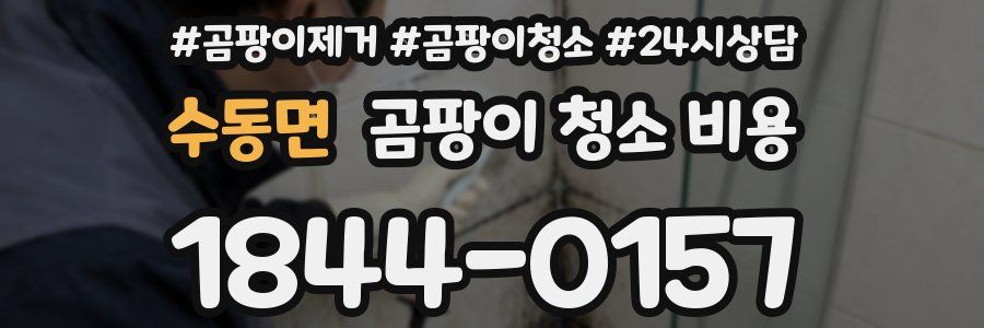수동면 곰팡이 청소 비용