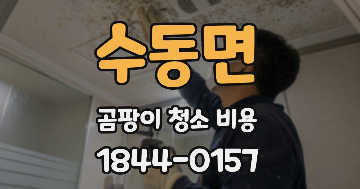 수동면 곰팡이 청소 비용