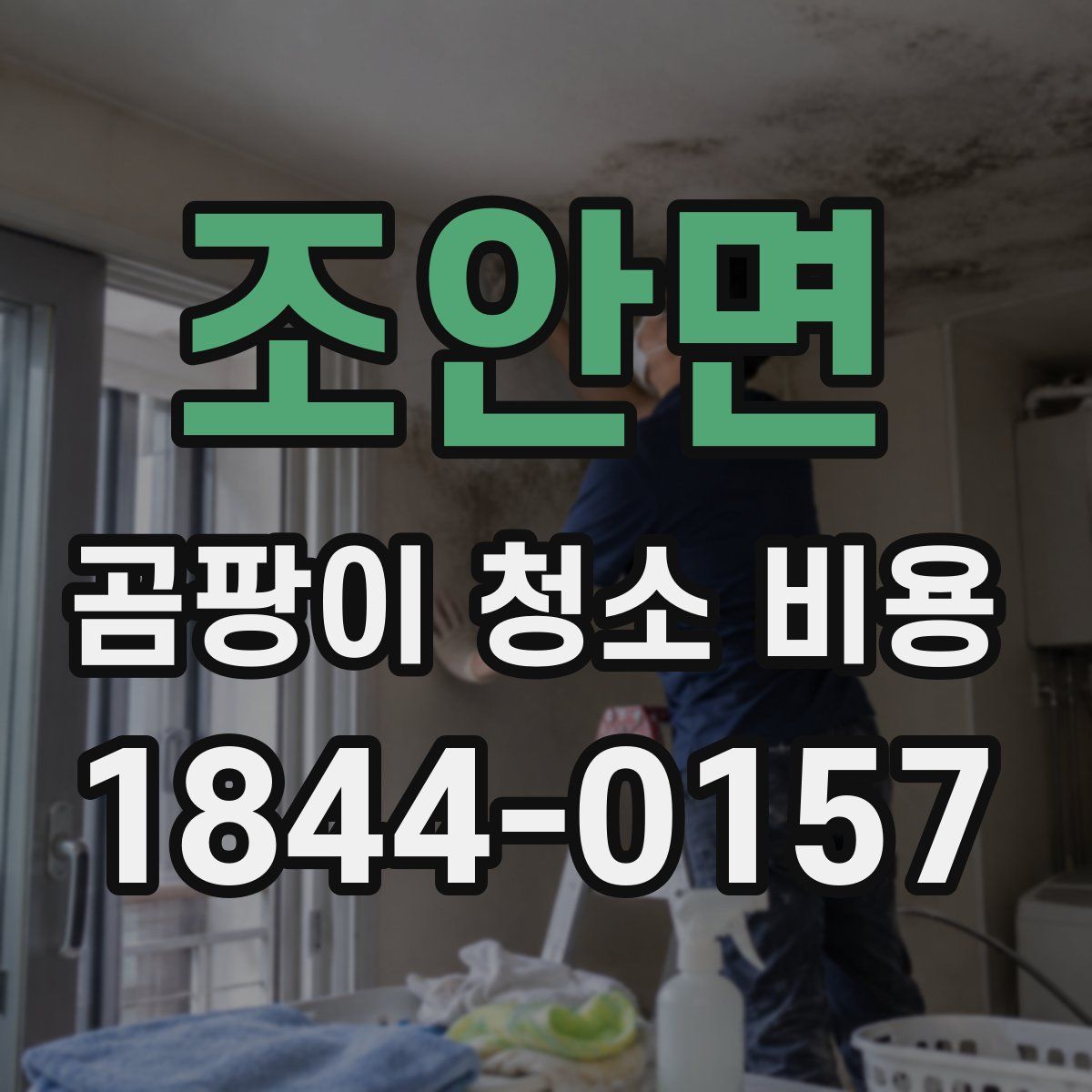 조안면 곰팡이 청소 비용