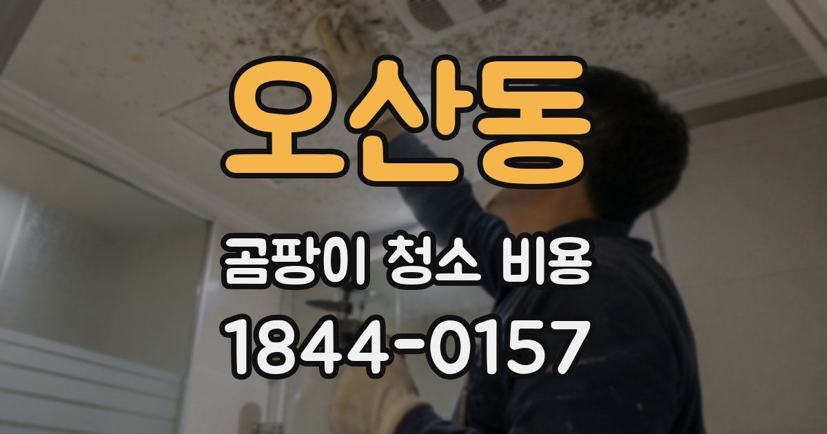 오산동 곰팡이 청소 비용