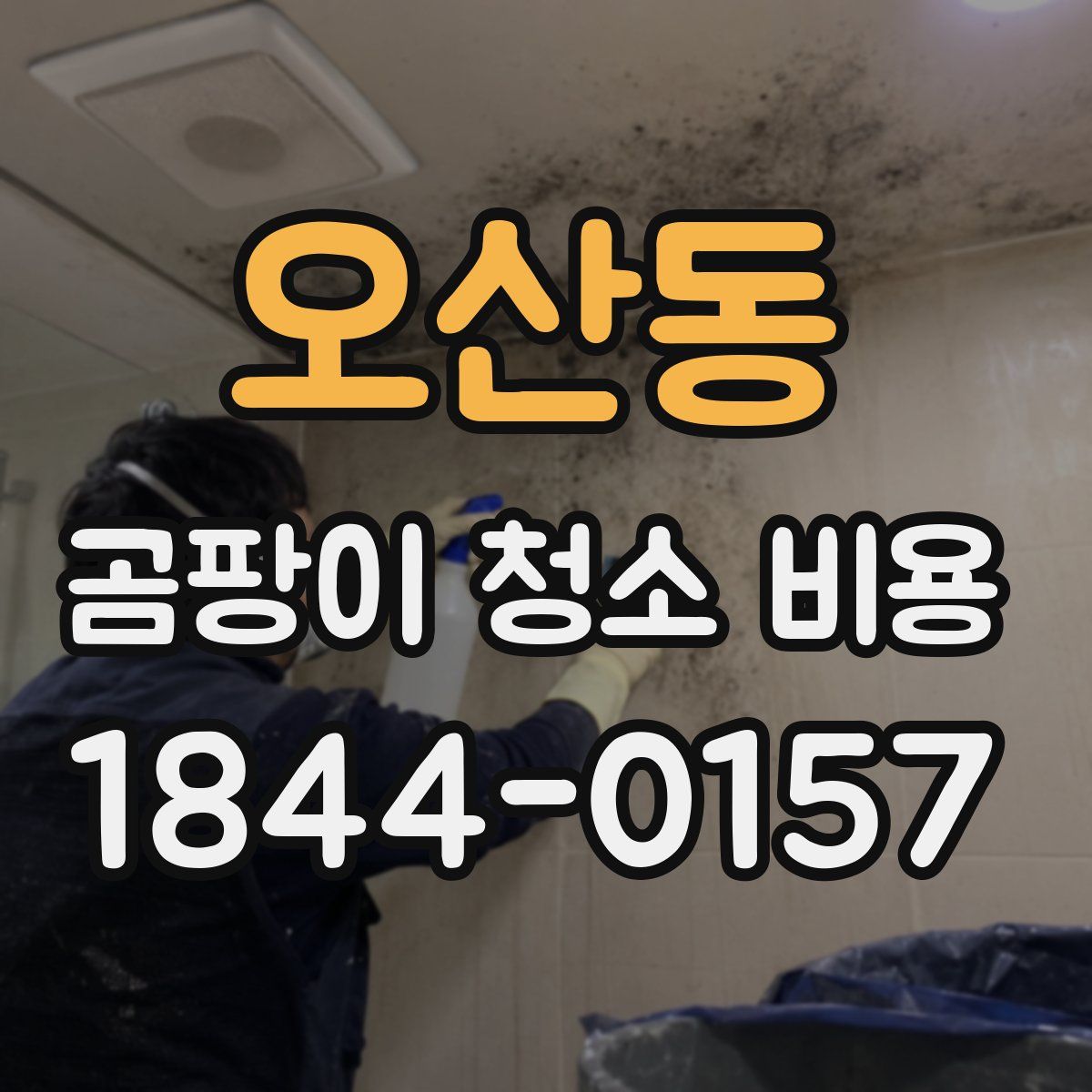 오산동 곰팡이 청소 비용