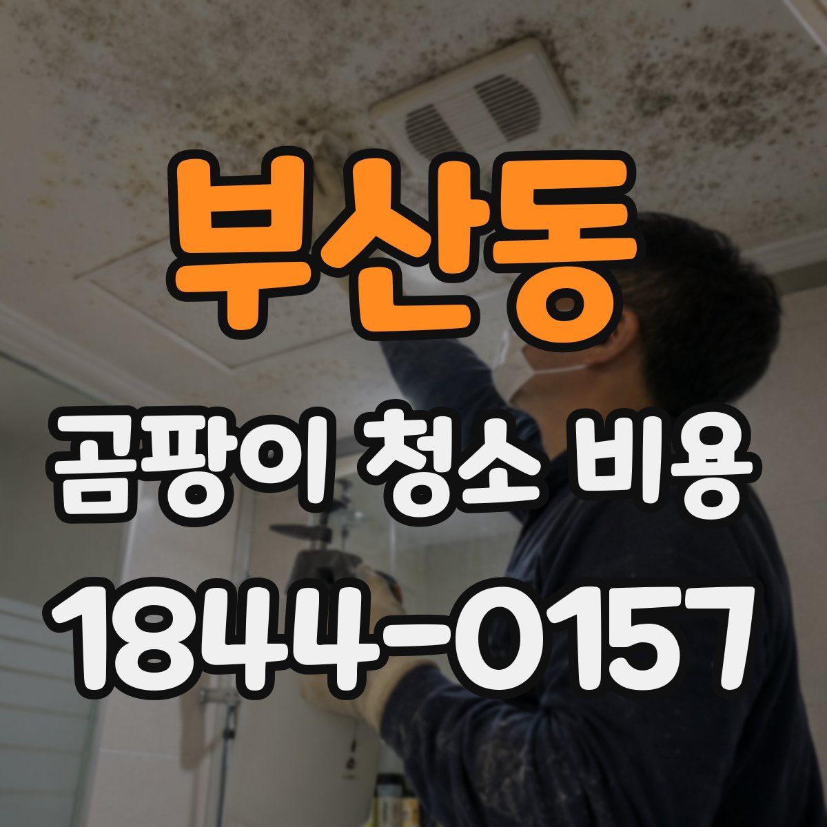 부산동 곰팡이 청소 비용