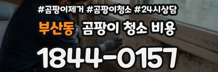 부산동 곰팡이 청소 비용