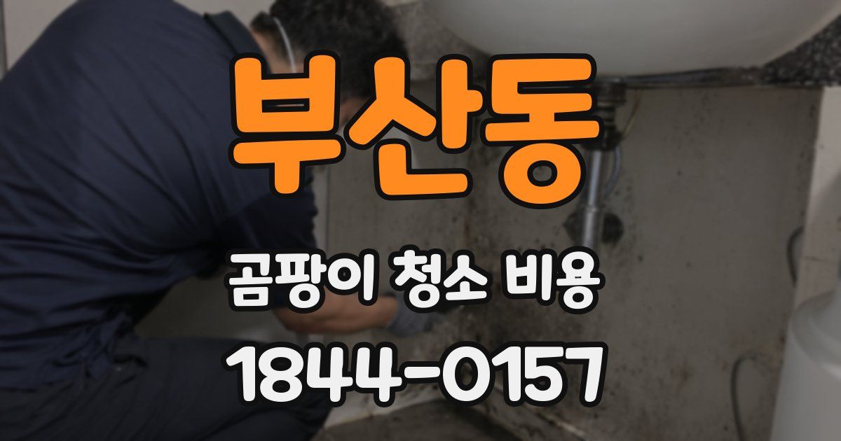 부산동 곰팡이 청소 비용