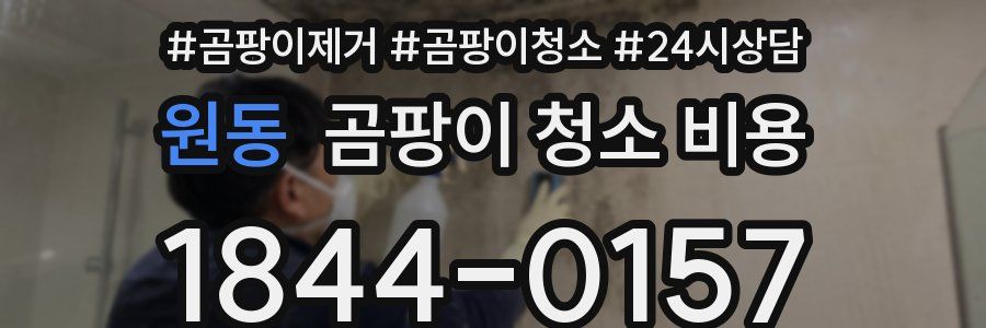 원동 곰팡이 청소 비용