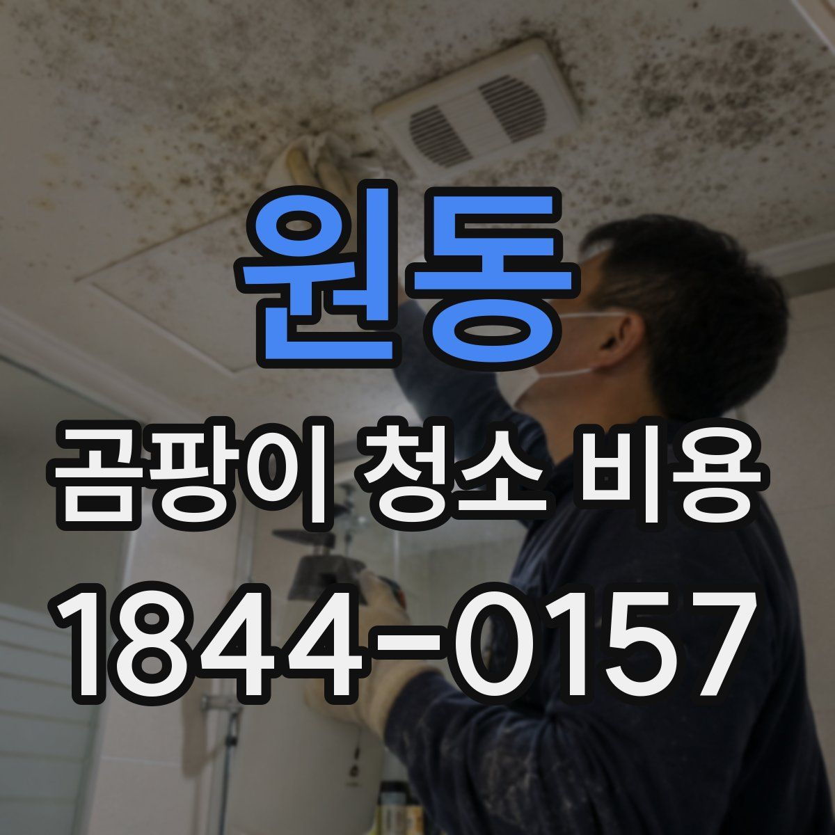 원동 곰팡이 청소 비용