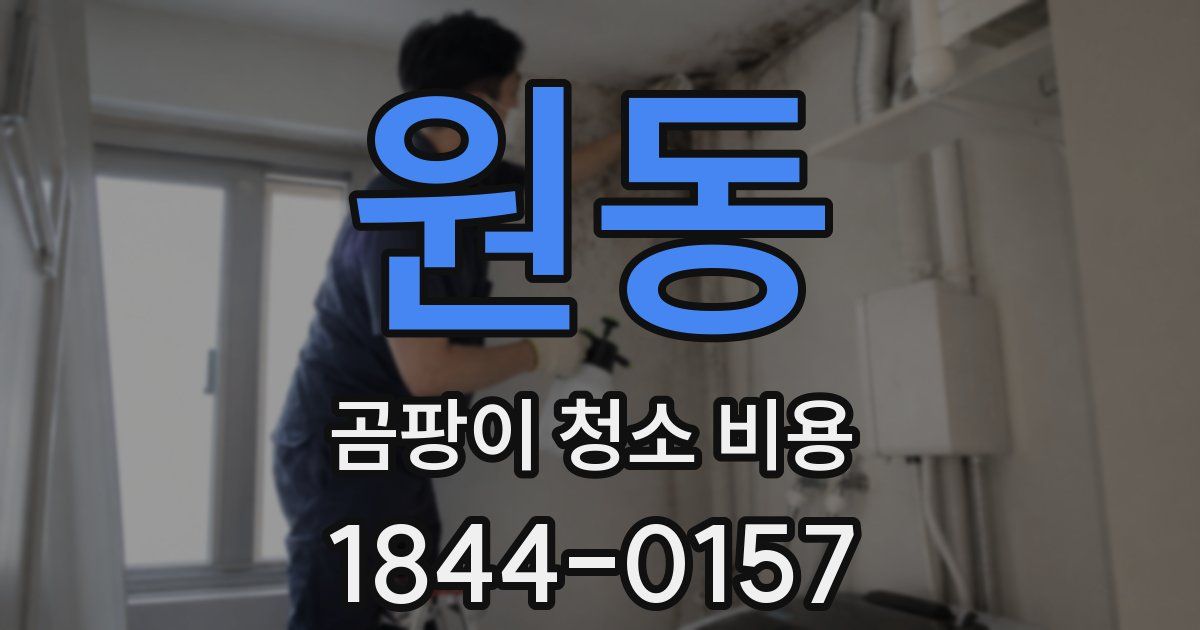 원동 곰팡이 청소 비용