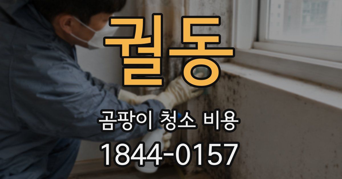 궐동 곰팡이 청소 비용