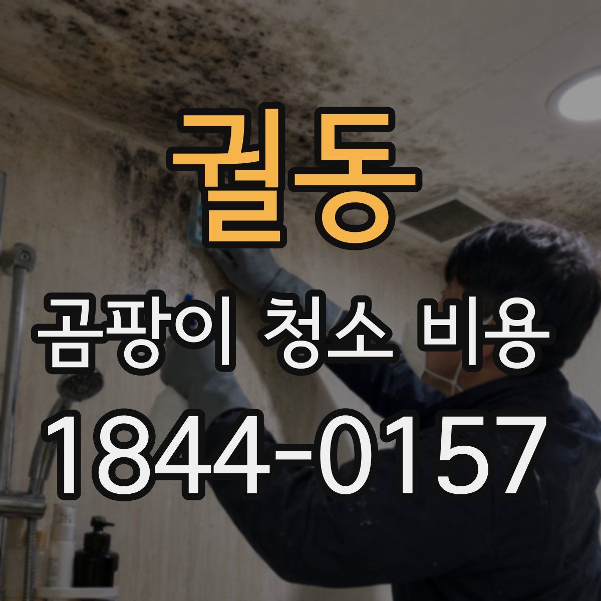 궐동 곰팡이 청소 비용